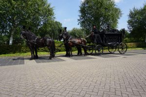 Zwarte Rouwkoets met Friese paarden
