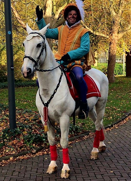 het betrouwbare paard van Sinterklaas