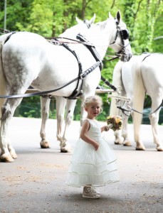 bruidsmeisje met 4 witte paarden