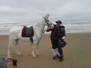 huwelijk aanzoek met paard