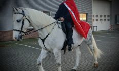 prins op het witte paard met huwelijk aanzoek