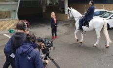 wit paard voor film