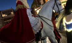 het paard van Sinterklaas huren