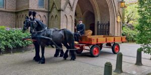 Platte wagen met paarden voor uitvaart.